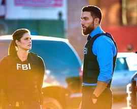 联邦调查局 第四季,揭秘犯罪背后的真相与挑战